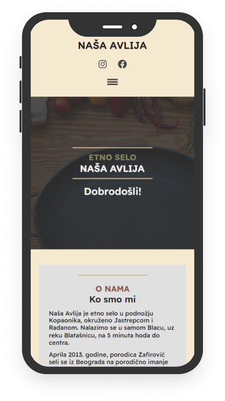 Mobile device with Nasa avlija website on it